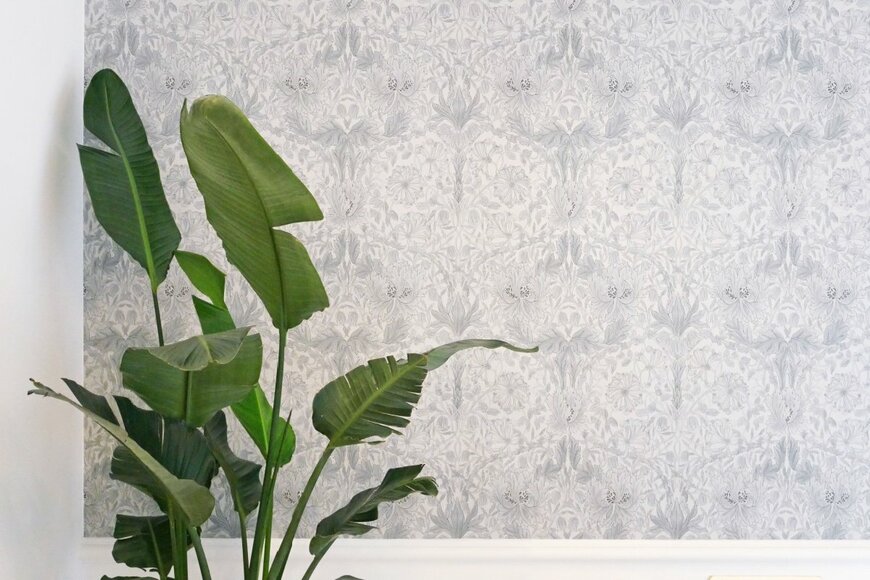 yy_Apartment/shutterstock.com