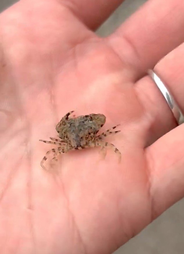 出所：@K_theHermit