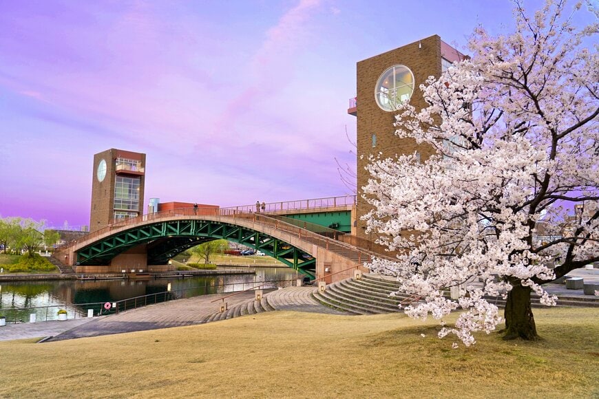 夕暮れ時の富岩運河環水公園