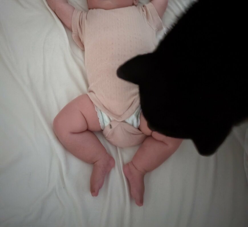 柴犬と赤ちゃん