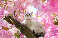 【65歳以上】無職夫婦世帯の「1ヵ月の生活費・貯蓄額・年金額」とは？4月分から厚生年金・国民年金の増額スタート！