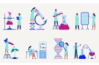 【リケジョ学費比較】東京女子大・津田塾・日本女子大【理系】4年間の学費はいくらか