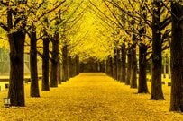 国民年金と厚生年金、夫婦のパターン別の受給額は？