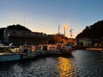 千葉県の「夜の漁港」に現れたウミガメ　珍しい光景がたまらない