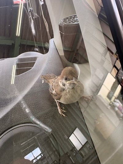 車内を見ると…