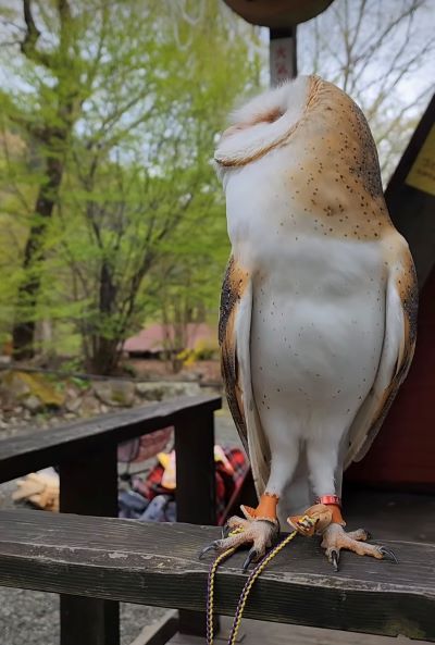 投稿動画のワンシーン