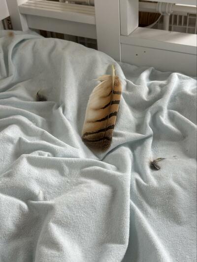 投稿動画のワンシーン