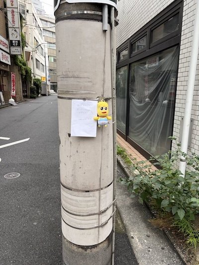 投稿の画像
