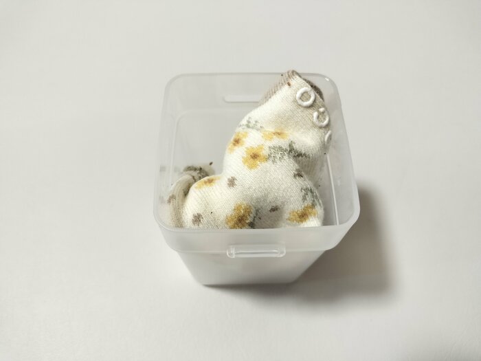 靴下整理カップSサイズ