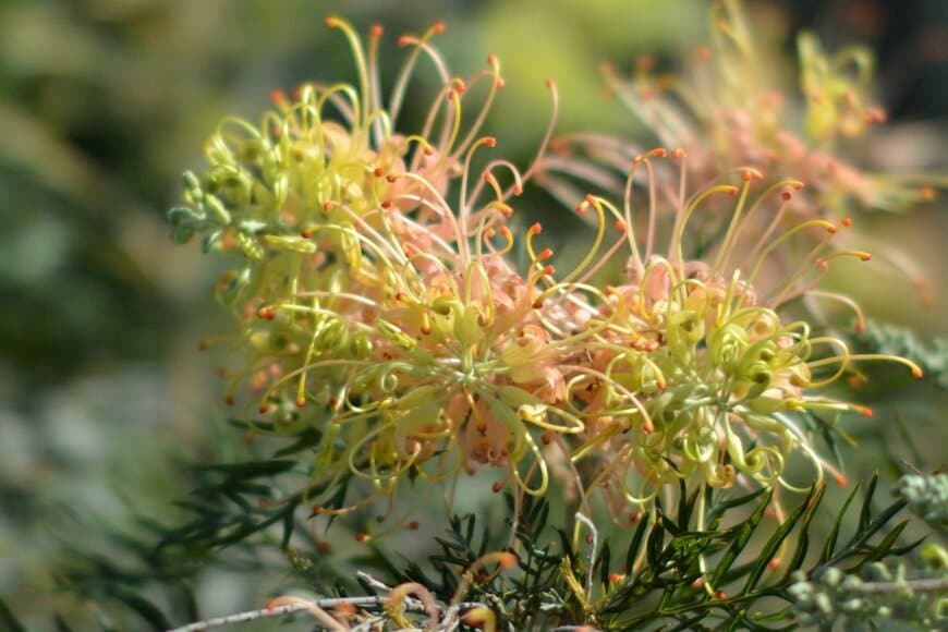 SHughesPhotography/shutterstock.com