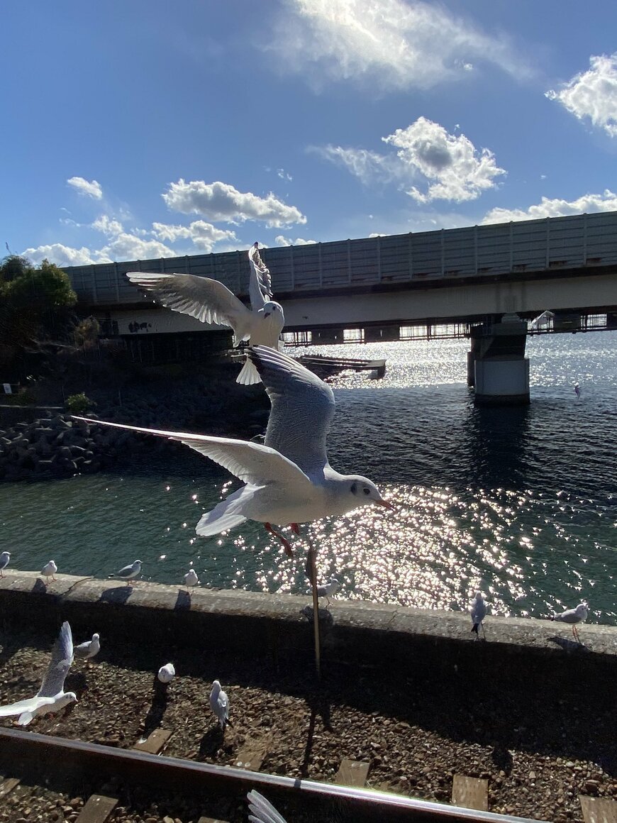 出所：@UGgApgGsy4b4L1xさん