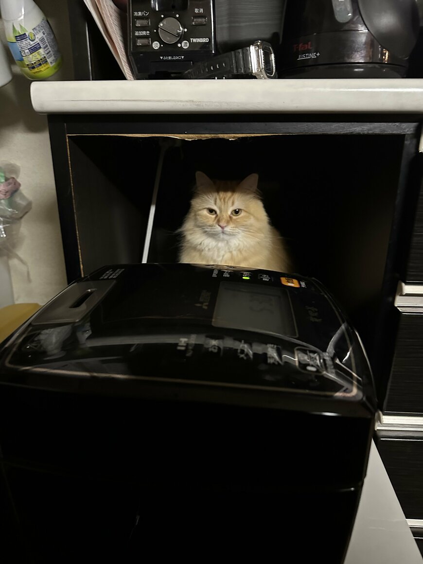 出所：@NEKOLAND13