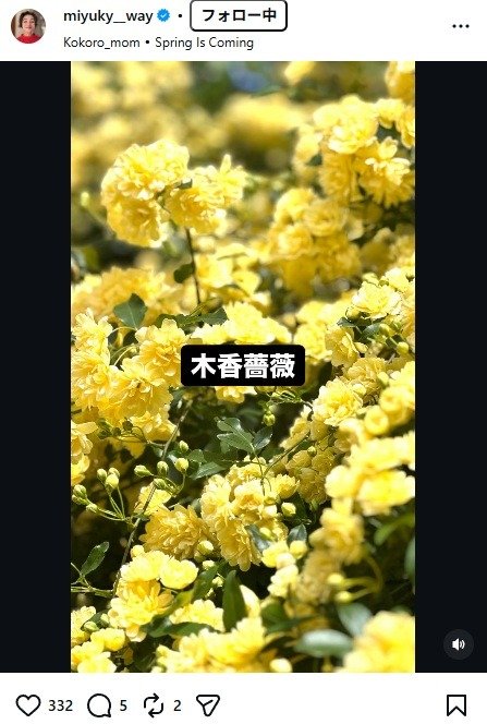 出所：香坂みゆきのInstagram（＠miyuky__way）　参照日：2026年4月13日