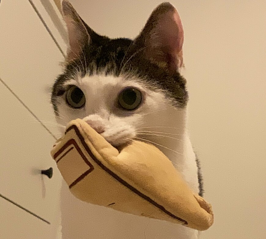 出所：@Saeroyi_cat