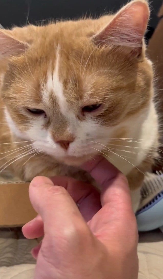 出所：@kotaro_0315