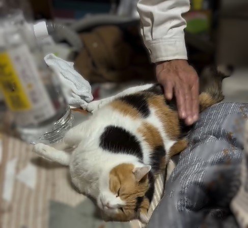 出所：@mike_noritama