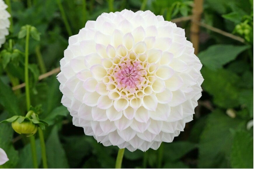 Alex Manders/istockphoto.com