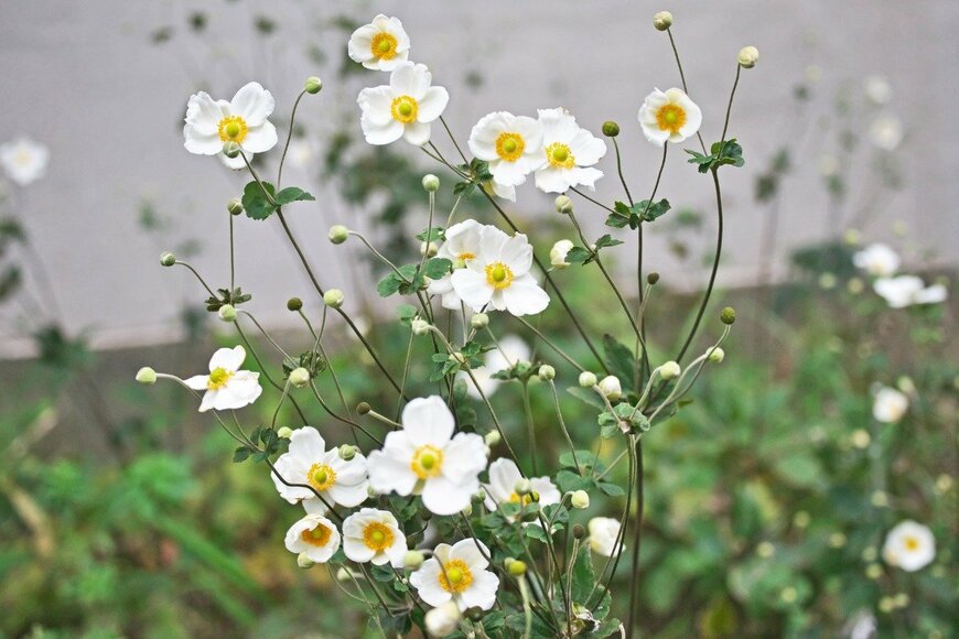 igaguri_1/istockphoto.com