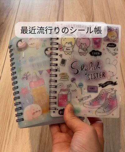 【100均DIY】セリア＆ダイソーの「ワイヤーネット・ボックス・フック」で…　おしゃれな〈壁掛けシール収納〉をDIY