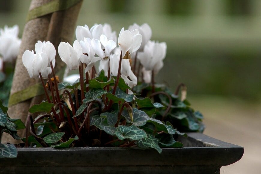 Freila/istockphoto.com