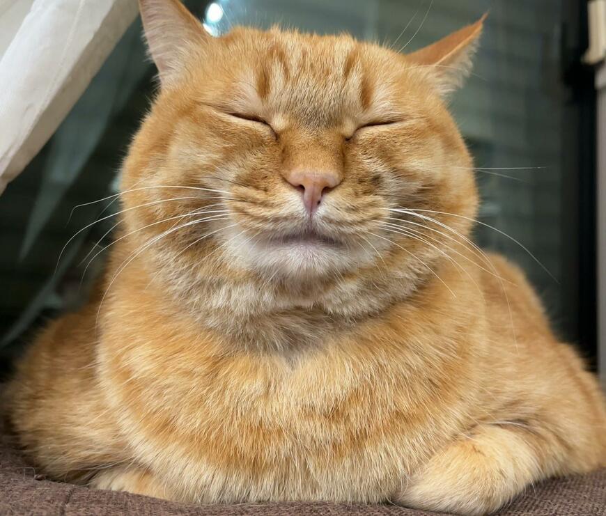 出所：@kagisuzu0531