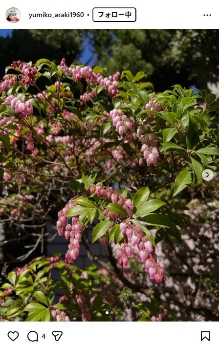 出所：荒木由美子のInstagram（＠yumiko_araki1960）　参照日：2026年3月11