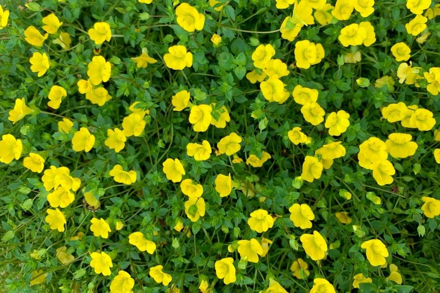 Nokzd/shutterstock.com