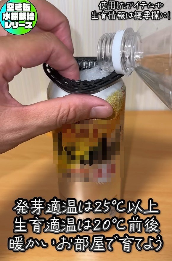 出所：@mikanbo-ya1987