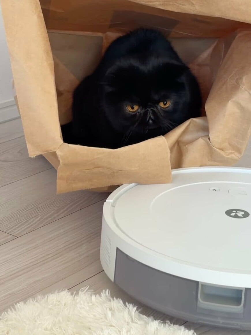 出所：＠kotetsu_0420