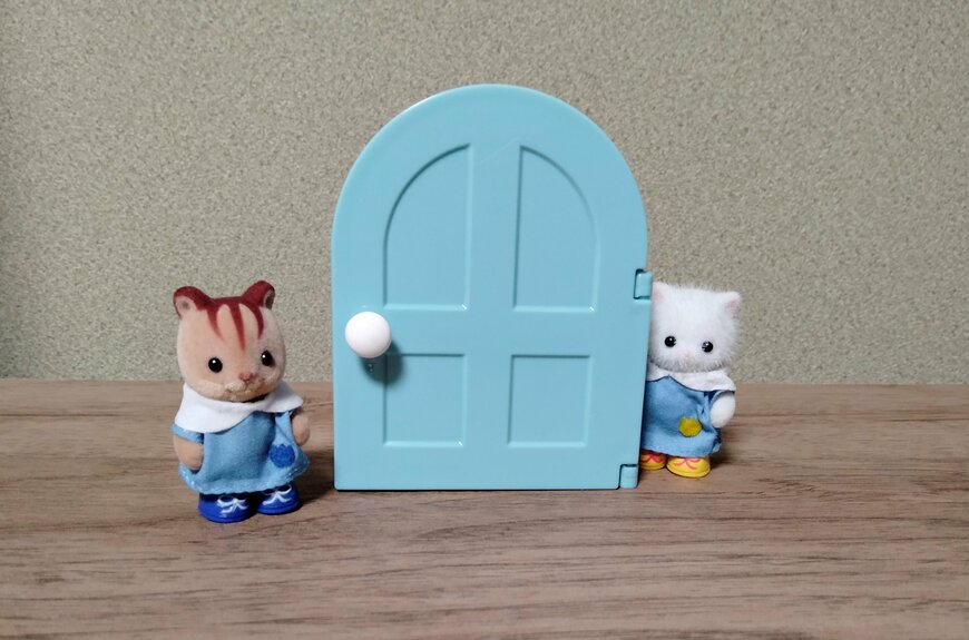 筆者撮影（セリア、輪ゴムフック ドア型）