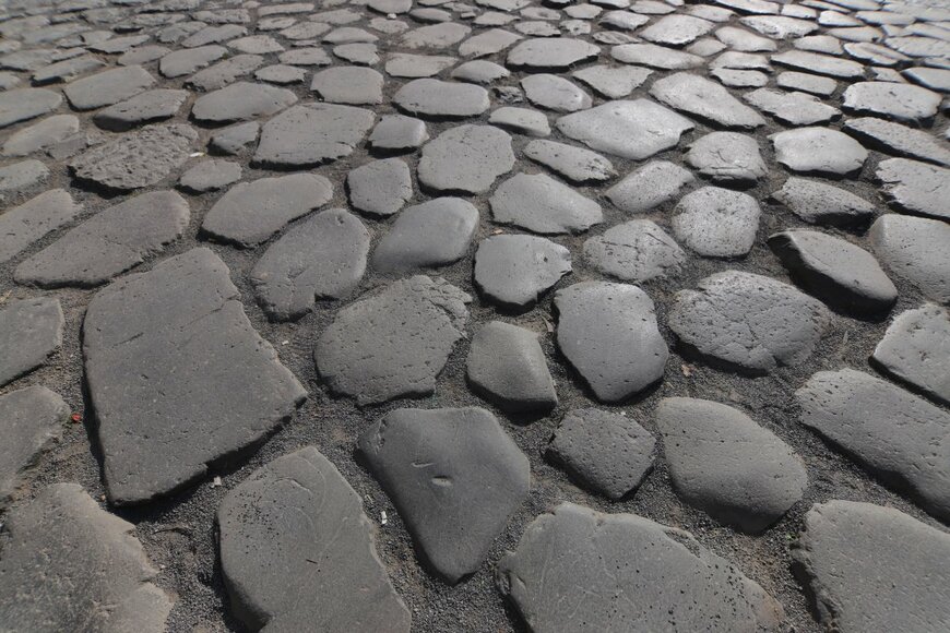 Amanda Cogan Barber/shutterstock.com