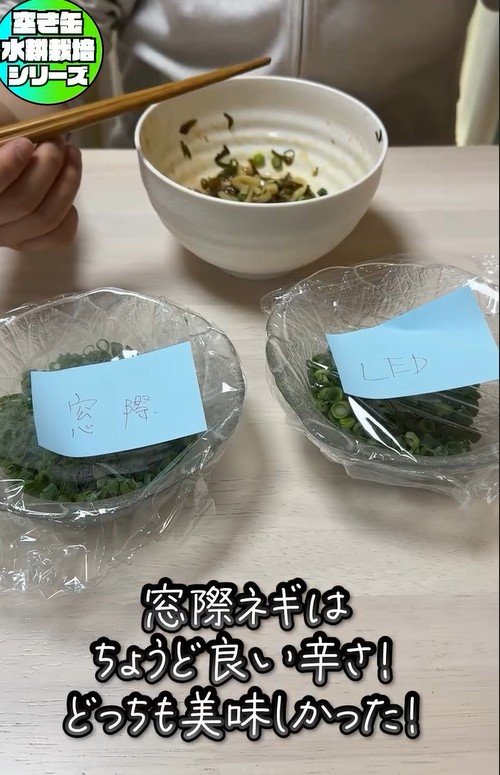 出所：mikanbo_ya19_87