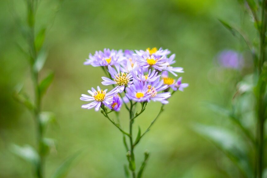 Koshiro Kiyota/istockphoto.com