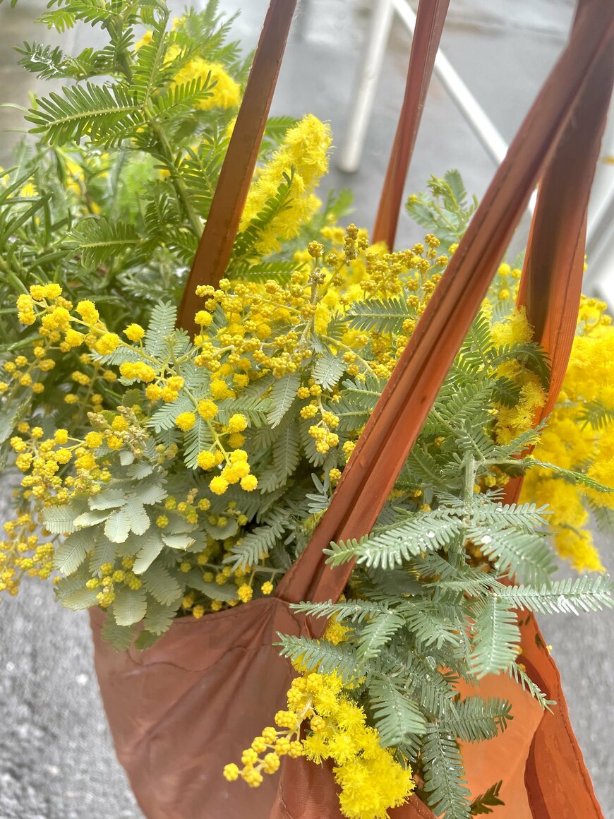 ミモザとローズマリー