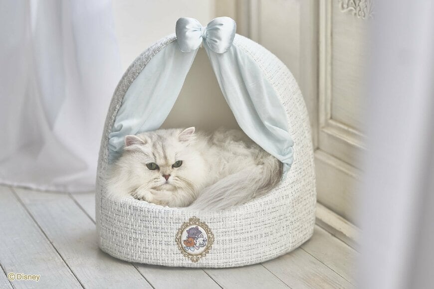 株式会社クリエイティブヨーコ　公式サイト