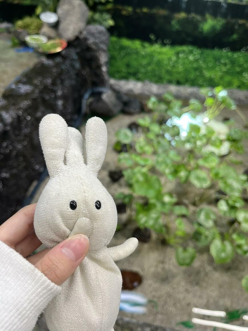 かわいいぬいぐるみ