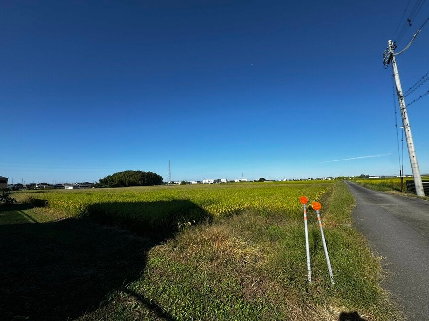 青空の下に広がる田んぼのそばの風景