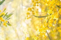 花束を贈るのはいつ？〈イタリアに学ぶ〉花を贈る3つのタイミングで、心に残る思い出づくり