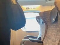 元CAが新幹線に乗る時に思うことは？　「つい出てしまう習慣」に共感のコメントが続出