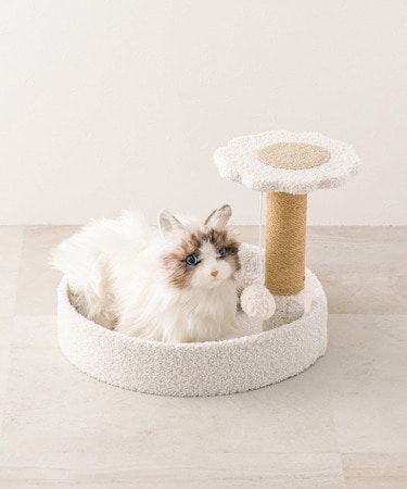 にゃんこのクリスマスギフト！」3COINS猫おもちゃ「1000円台キャット