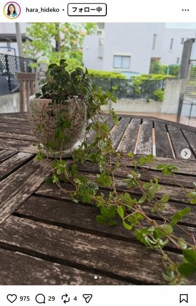 原日出子のInstagram投稿