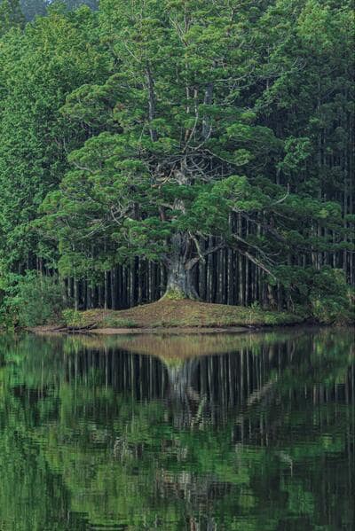 投稿の画像