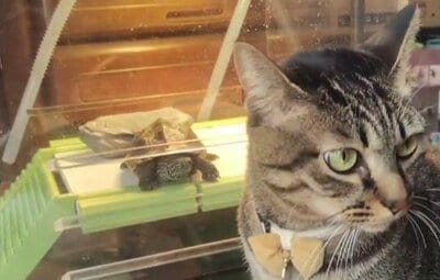 小雪ちゃん、「うしろ、うしろ！」