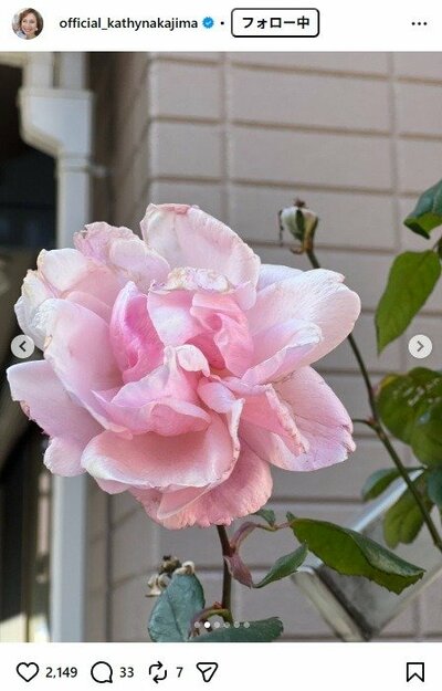 キャシー中島のInstagram投稿