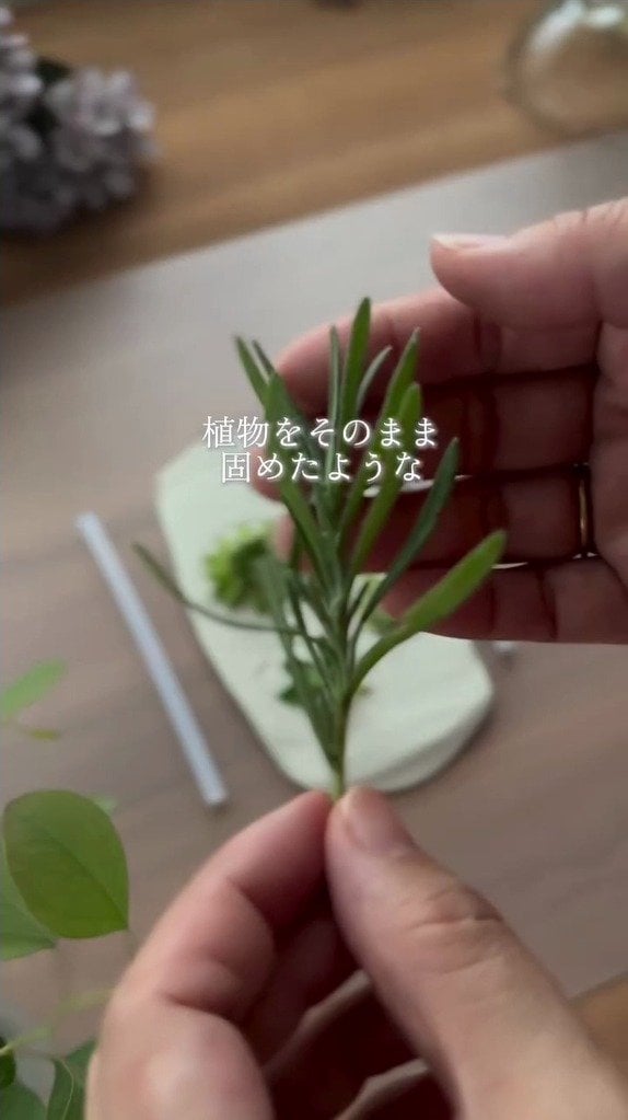 【100均DIY】100均の石膏が「植物のオーナメント」に変身 ボタニカルキャストで年中飾れる