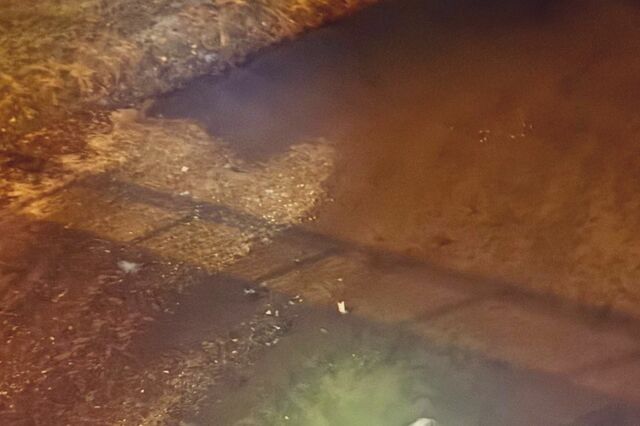 夜の散歩中「カンカン」と音が聞こえ…　川で目撃したまさかの光景に8万いいね
