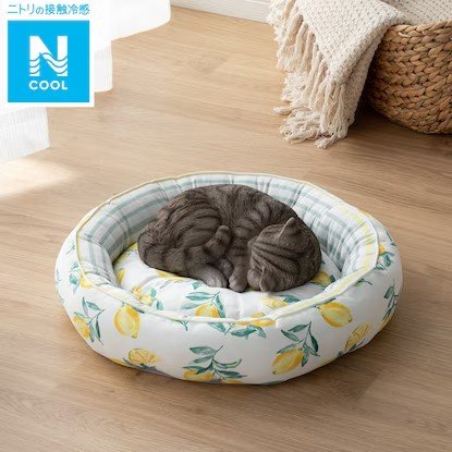 画像出所：ニトリ公式通販ニトリネット