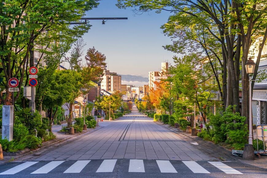 長野県で珍しい「赤と赤点滅の切替信号」を発見　意外と知られていない通行ルールに反響