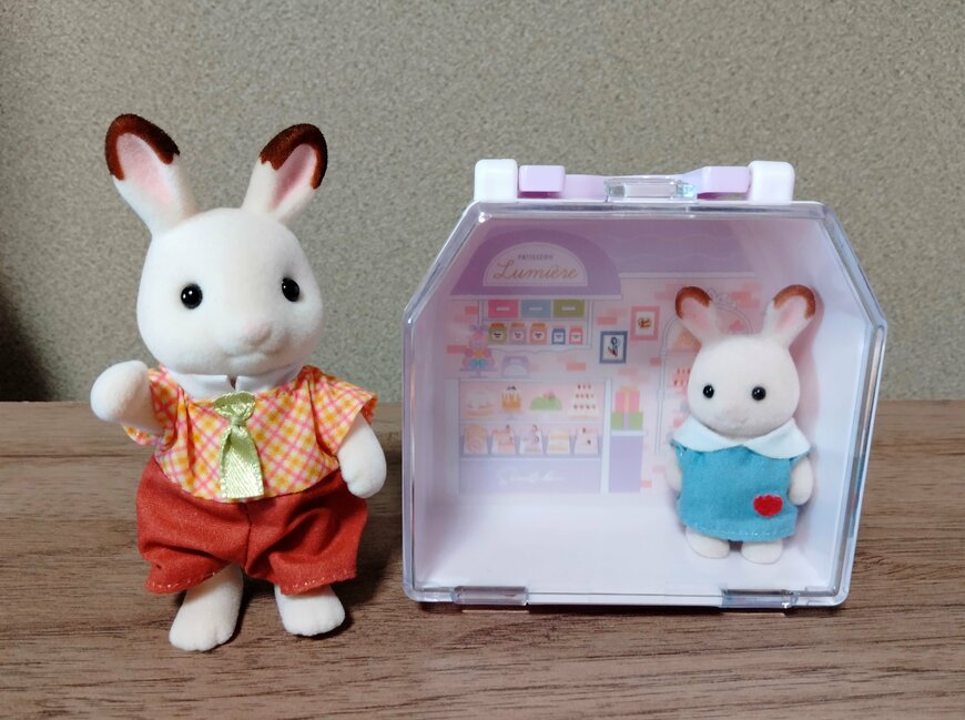 筆者撮影（セリア、おうち型ケース スイーツショップ）