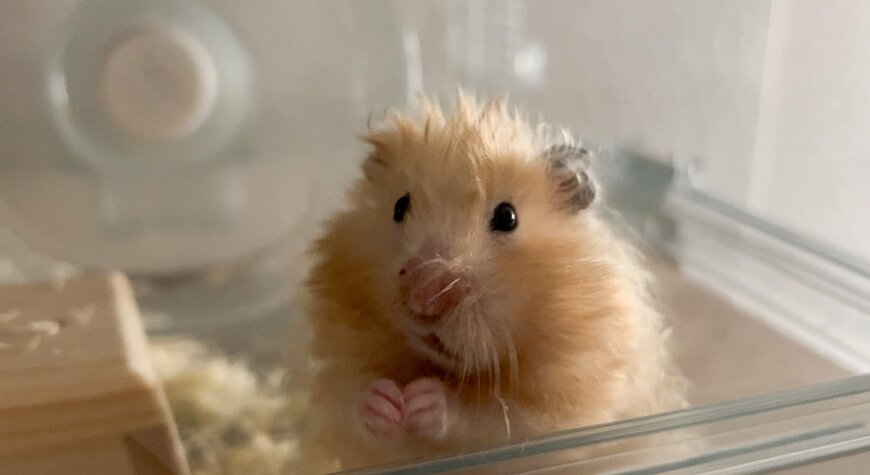 出所：@MotherLoverrrr